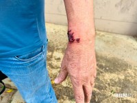 Passageira morde motorista, saca faca e causa confusão dentro de ônibus do transporte coletivo em Foz do Iguaçu