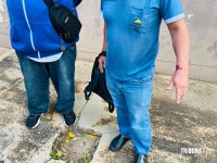 Passageira morde motorista, saca faca e causa confusão dentro de ônibus do transporte coletivo em Foz do Iguaçu