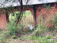 Assaltante morre em confronto com a ROCAM após roubo de van com mercadorias em Foz do Iguaçu