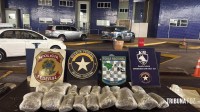 Receita Federal apreende aproximadamente 10 Kg de maconha tipo capulho na Ponte da Amizade 