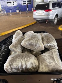 Receita Federal apreende aproximadamente 10 Kg de maconha tipo capulho na Ponte da Amizade 