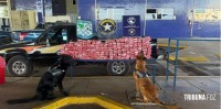 Receita Federal apreende quase 200 Kg de maconha na Ponte da Amizade