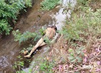 Homem é encontrado morto com marcas de tiros e queimaduras dentro do rio no Jardim Canadá em Foz do Iguaçu