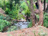 Homem é encontrado morto com marcas de tiros e queimaduras dentro do rio no Jardim Canadá em Foz do Iguaçu