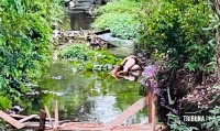 Homem é encontrado morto com marcas de tiros e queimaduras dentro do rio no Jardim Canadá em Foz do Iguaçu