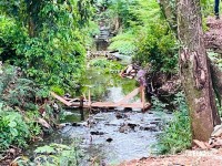 Homem é encontrado morto com marcas de tiros e queimaduras dentro do rio no Jardim Canadá em Foz do Iguaçu