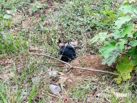 Homem é encontrado morto com marcas de tiros e queimaduras dentro do rio no Jardim Canadá em Foz do Iguaçu