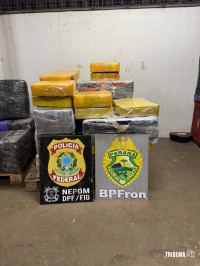 BPFRON e Polícia Federal apreendem 518 quilos de maconha em área de mata em Foz do Iguaçu