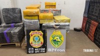 BPFRON e Polícia Federal apreendem 518 quilos de maconha em área de mata em Foz do Iguaçu
