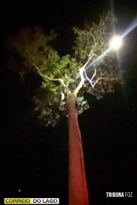 Defesa Civil é acionada para combater incêndio criminoso no distrito de sub sede em Santa Helena