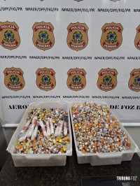 PF prende casal com medicamentos de importação proibida no Aeroporto de Foz do Iguaçu