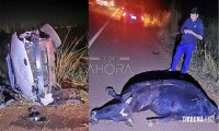 Veículo colide com vaca na Rodovia PY07, deixando ocupantes com ferimentos leves no Paraguai