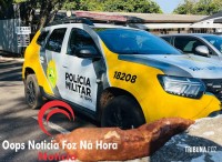 Homem que ganhou mandioca de graça teria tentado levar o restante da plantação e acabou preso