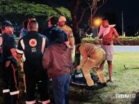Veiculo elétrico capota após colisão próximo ao Recanto Park Hotel  