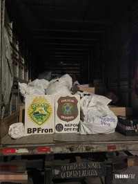 BPFRON apreende 131 Kg de maconha em caminhões na cidade de Matelândia