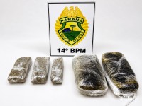 Polícia Militar apreende mais de 2 Kg de drogas e prende casal em Foz do Iguaçu
