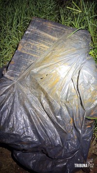 PF e PM apreendem 25 Kg de maconha após travessia de embarcação em Foz do Iguaçu