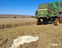 Brasileiro morre após ser esmagado por colheitadeira no Paraguai