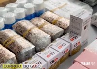 Carro com anabolizantes e cigarros é apreendido ao sair de hotel na Vila Portes em Foz do Iguaçu
