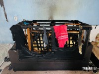 Carregador de celular no sofá teria iniciado incêndio em residência no Parque Ouro Verde em Foz do Iguaçu