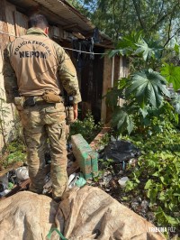 Policia Federal e Policia Militar apreendem 17,8 Kg de maconha às margens do Rio Paraná