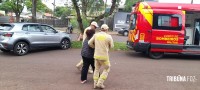 Condutora fica ferida após colidir veículo contra uma arvore na Av. Javier Koelbel