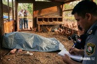 Mulher morre após suspeita de eletrocussão em galinheiro no Paraguai