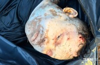 Corpo de homem com marcas de disparos de arma de fogo é encontrado boiando no lado paraguaio do Rio Paraná