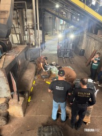 Delegacia da Policia Federal de Foz do Iguaçu incinera mais de 10 toneladas de drogas