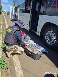 PRF apreende 40 quilos de maconha, celulares e medicamentos em ônibus na BR-277 em Santa Terezinha de Itaipu 