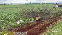 Veículo sai da pista, bate contra árvore e capota na PR-488 em Santa Helena