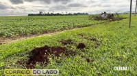 Veículo sai da pista, bate contra árvore e capota na PR-488 em Santa Helena