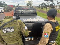 BPFRON apreende medicamentos para emagrecimento e prende mulher em Santa Tereza do Oeste