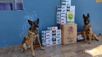 BPFRON apreende contrabando de cigarros Marechal Cândido Rondon BPFRON apreende contrabando de cigarros Marechal Cândido Rondon