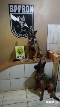 BPFRON encaminha três pessoas por posse de drogas em Marechal Cândido Rondon BPFRON encaminha três pessoas por posse de drogas em Marechal Cândido Rondon