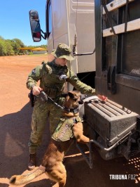 BPFRON e Receita Federal realizam operação de fiscalização em Santa Helena BPFRON e Receita Federal realizam operação de fiscalização em Santa Helena