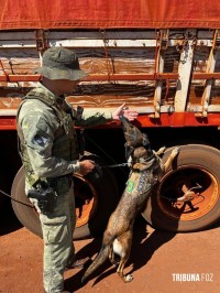 BPFRON e Receita Federal realizam operação de fiscalização em Santa Helena BPFRON e Receita Federal realizam operação de fiscalização em Santa Helena