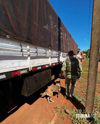 BPFRON e Receita Federal realizam operação de fiscalização em Santa Helena BPFRON e Receita Federal realizam operação de fiscalização em Santa Helena