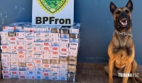 BPFRON apreende cigarro em residência na cidade de Santa Helena BPFRON apreende cigarro em residência na cidade de Santa Helena