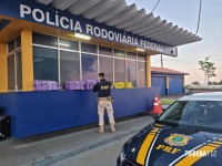 PRF apreende 238 tabletes de maconha após perseguição policial PRF apreende 238 tabletes de maconha após perseguição policial