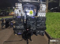 Militares do CHOQUE/CANIL apreende cigarros contrabandeados Militares do CHOQUE/CANIL apreende cigarros contrabandeados