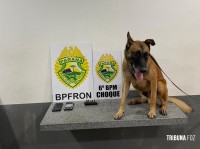 PM prendem dois homens com carregador e munições 9mm em Céu Azul PM prendem dois homens com carregador e munições 9mm em Céu Azul