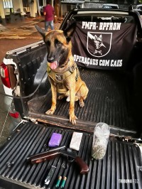 BPFRON apreende droga, arma, munições e recupera veículo roubado em Santa Helena BPFRON apreende droga, arma, munições e recupera veículo roubado em Santa Helena