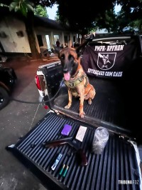 BPFRON apreende droga, arma, munições e recupera veículo roubado em Santa Helena BPFRON apreende droga, arma, munições e recupera veículo roubado em Santa Helena