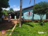 Bombeiros são acionados para resgatar cães após ataque de abelhas em Medianeira Bombeiros são acionados para resgatar cães após ataque de abelhas em Medianeira
