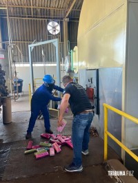 Policia Civil de Foz do Iguaçu incinera mais de 3 toneladas de droga Policia Civil de Foz do Iguaçu incinera mais de 3 toneladas de droga