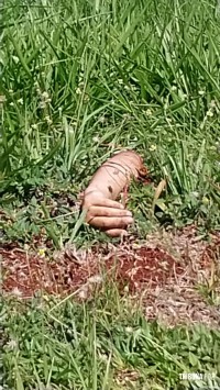 Grave acidente deixa duas pessoas mortas na BR-277 no Bairro Três Lagoas Grave acidente deixa duas pessoas mortas na BR-277 no Bairro Três Lagoas