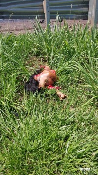 Grave acidente deixa duas pessoas mortas na BR-277 no Bairro Três Lagoas Grave acidente deixa duas pessoas mortas na BR-277 no Bairro Três Lagoas