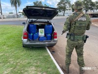 BPFRON apreende veículo carregado com agrotóxicos contrabandeados em Foz do Iguaçu BPFRON apreende veículo carregado com agrotóxicos contrabandeados em Foz do Iguaçu