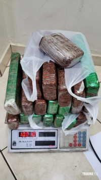 PF prende passageiro com maconha na bagagem em ônibus intermunicipal PF prende passageiro com maconha na bagagem em ônibus intermunicipal